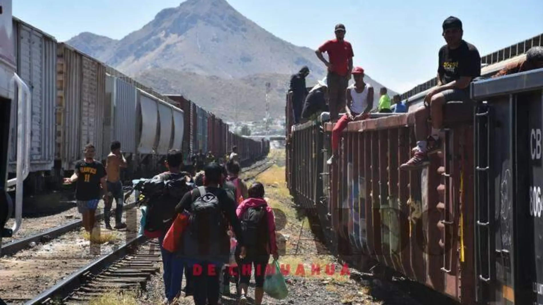 migrantes trenes (2)